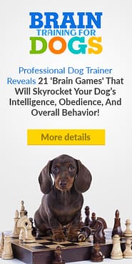 why do dogs sniff butts image for training