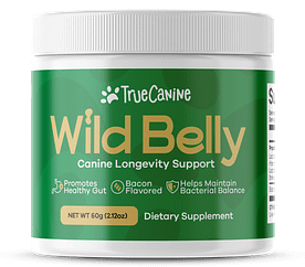 image of wild belly product for why is my dogs nose running post