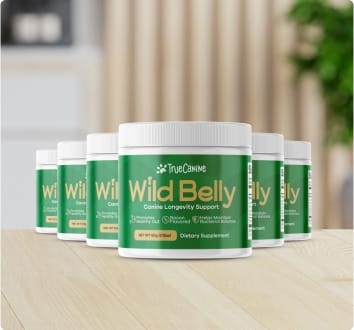 wild belly product for can dogs eat carrots post